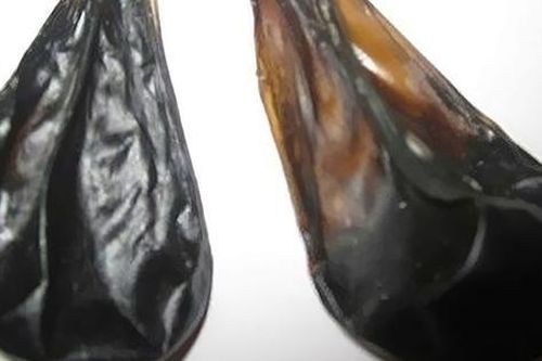 Phụ nữ sau sinh có nên uống mật heo?