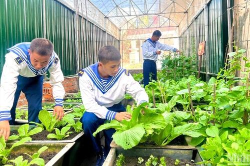 Bài 6: Những đảo xanh giữa biển trời quê hương