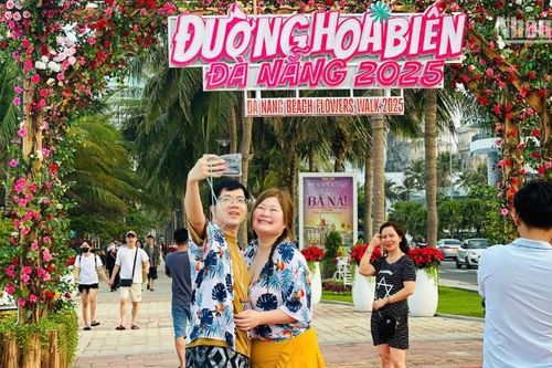Đà Nẵng đưa Đường hoa biển vào phục vụ người dân, du khách