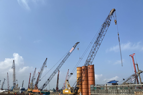 Đất 'nở hoa' sau nửa thế kỷ hòa bình