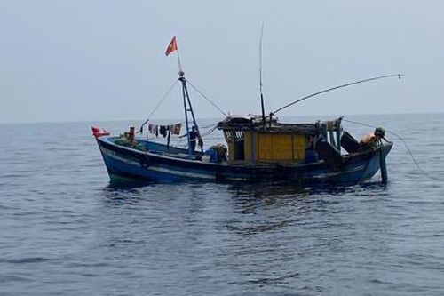 Bắt giữ tàu cá khai thác thủy sản trái phép