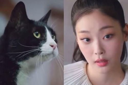 Phim Hàn thú vị nhất hiện nay: Một nữ diễn viên tỏa sáng nhờ đóng vai con mèo
