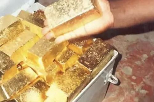 Làm cỏ ven vách đá, bất ngờ vấp trúng 'kho báu' khủng toàn vàng