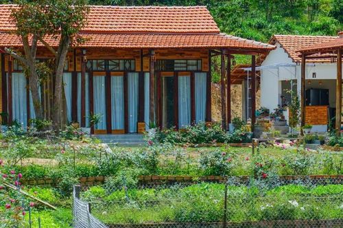 Vợ chồng trẻ rời TPHCM về quê trồng hoa, nuôi cá ở mảnh đất hơn 3.000m2