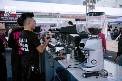Khai mạc Gia Lai Coffee Festival 2025