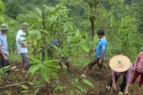 Lai Châu: Nỗ lực nâng cao nhận thức, kỹ năng cho người Mảng thoát nghèo