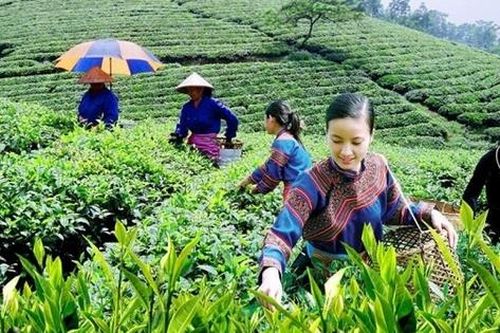 Lào Cai: Nhiều giải pháp giảm nghèo ở vùng 'lõi nghèo'