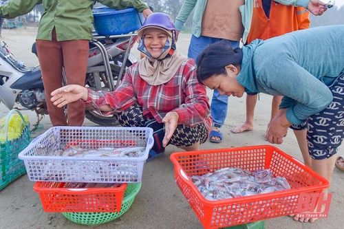 Ngư dân Quảng Xương ra khơi 'săn' lộc biển dịp nghỉ lễ 30/4