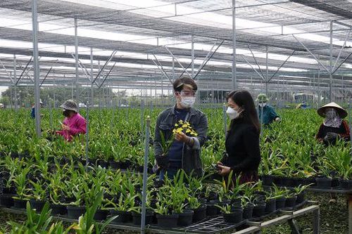 Hải Phòng đề xuất mỗi năm hỗ trợ 375 tỷ đồng cho phát triển nông nghiệp
