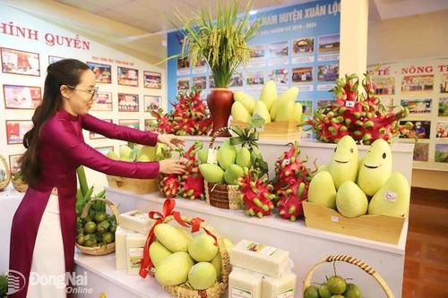 Đồng Nai dẫn đầu xây dựng nông thôn mới, phát triển nông nghiệp hiện đại
