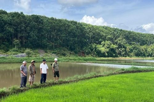 Gia Lai hướng dẫn triển khai sản xuất vụ mùa hiệu quả, bền vững, an toàn nguồn nước