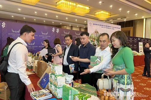 Sẵn sàng đón 'làn sóng' du lịch mới