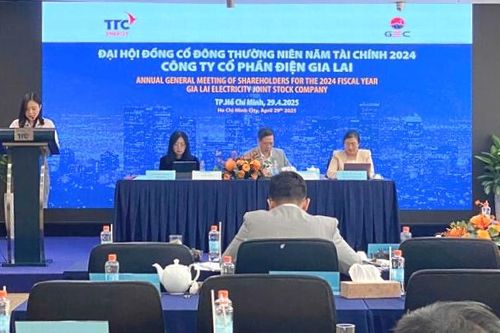 Điện Gia Lai (GEG): Đã hoàn thành 78% mục tiêu lãi cả năm, dự thu 200 tỷ đồng từ thoái vốn