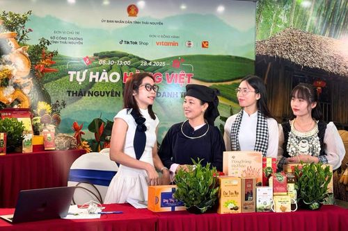 Tuần lễ Thương mại điện tử Go Online cấp vùng đầu tiên trên toàn quốc
