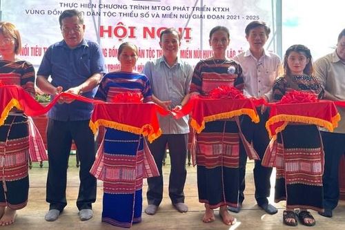 HTX tạo 'đòn bẩy' cho mục tiêu giảm nghèo bền vững tại An Lão