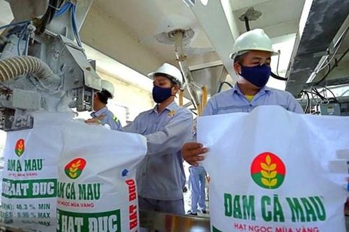 Đạm Cà Mau (DCM): Quý 1 lãi ròng tăng 19% lên 411 tỷ đồng, hoàn thành gần 54% kế hoạch lợi nhuận năm