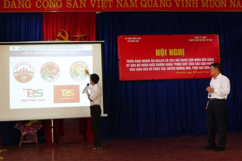 Tăng cường đẩy mạnh quản lý và phát triển tài sản trí tuệ