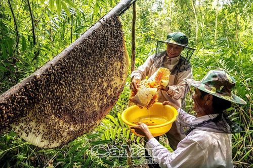 Cà Mau - địa đầu cực Nam thiêng liêng của Tổ quốc - Bài 3: Bức tranh văn hóa đa sắc
