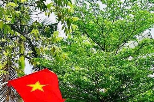 Không khí hân hoan lan tỏa khắp vùng ngoại thành Hà Nội
