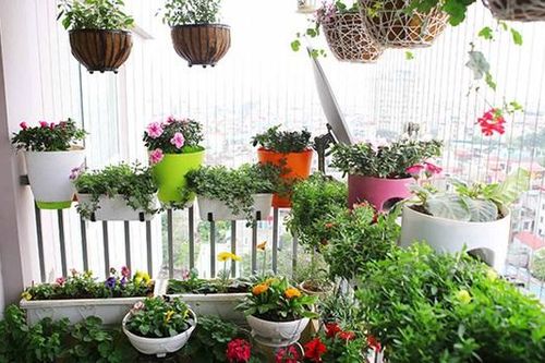Trang trí ban công: Cách 'hô biến' không gian nhỏ thành thiên đường