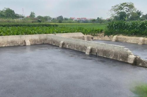 Xả thải gây ô nhiễm sông, một trang trại ở Thanh Hóa bị xử phạt nặng