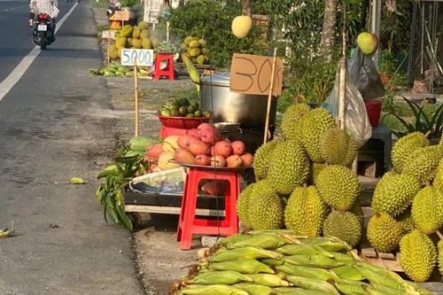 Nhà vườn miền Tây đổ xô bán sầu riêng ở ven đường