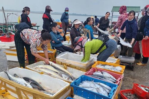 Ngư dân 'gác lễ', phấn khởi vươn khơi khai thác hải sản