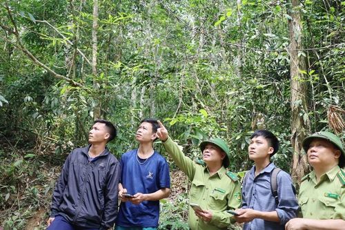 Không chủ quan trong công tác bảo vệ rừng dịp nghỉ lễ