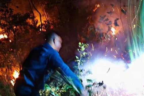 Đức Trọng: Kịp thời dập tắt đám cháy bên đường cao tốc Liên Khương-Prenn