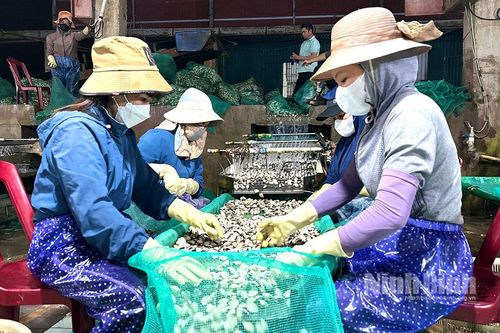 Hướng tới phát triển ngành thủy sản bền vững