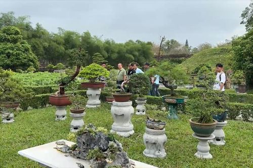 Bản tin Văn hóa du lịch ngày 1/5