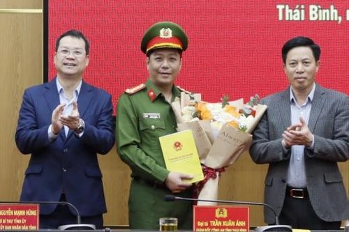 Giăng lưới bắt 'cá mập'