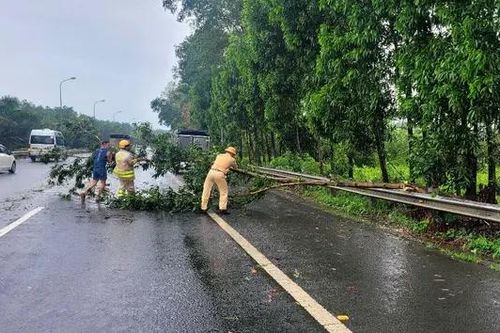 CSGT Hà Nội xử lý cây xanh ngã đổ sau mưa lớn