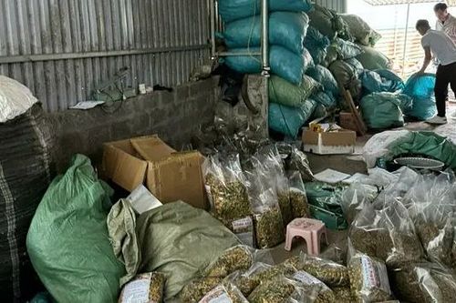 Tìm bị hại của đường dây bán thuốc sinh lý giả