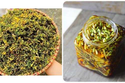 6 tác dụng của hoa đu đủ đực với sức khỏe