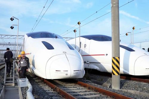 Tàu cao tốc của Nhật Bản dừng chạy vì rắn