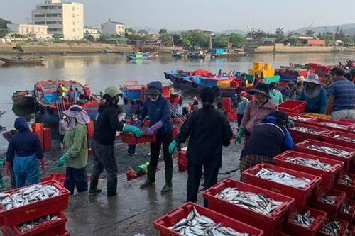 Chợ cá Nghi Thủy 'níu' chân du khách