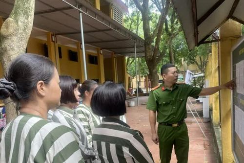 Hơn 8.000 phạm nhân được đặc xá năm 2025