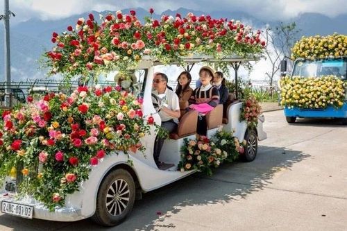 Hai ngày đầu kỳ nghỉ, Sa Pa thu hút gần 58 nghìn lượt khách du lịch