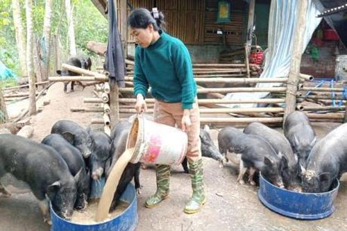 Khó đạt kỳ vọng!