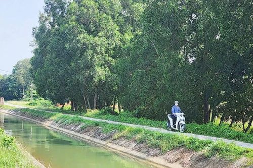 Kênh Đông làm mướt xanh 'vùng đất thép'