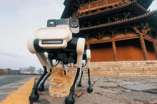 Robot chó 6 chân bảo tồn chùa gỗ cổ nhất, cao nhất thế giới