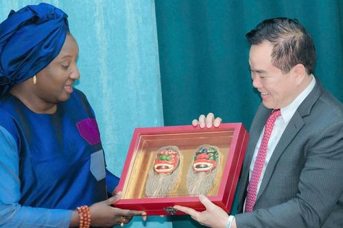 Vovinam - Việt Võ Đạo lan tỏa mạnh tại Cộng hòa Senegal