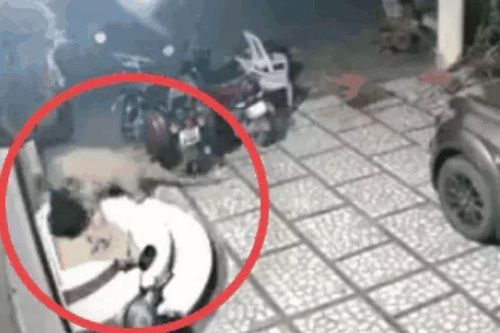 CLIP: Nửa đêm, báo đốm lẻn vào nhà dân tấn công chó nhà rồi nhận cái kết bẽ mặt