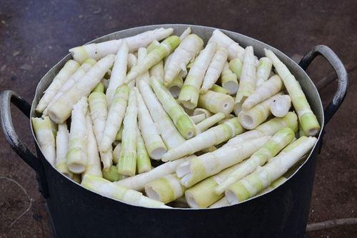 Bí quyết luộc măng tươi hết đắng, khử độc: Thêm loại nước nhà nào cũng có