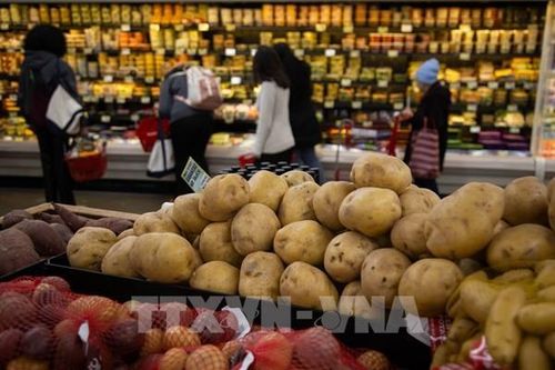 Giá thực phẩm toàn cầu cao nhất trong 2 năm