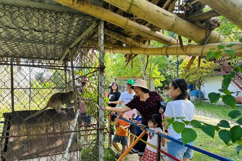 Người dân tận hưởng kỳ nghỉ xanh ngay trong thành phố