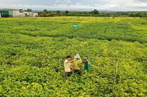 Vinasoy được vinh danh 'Doanh nghiệp tiên phong trong quản lý tài nguyên bền vững'