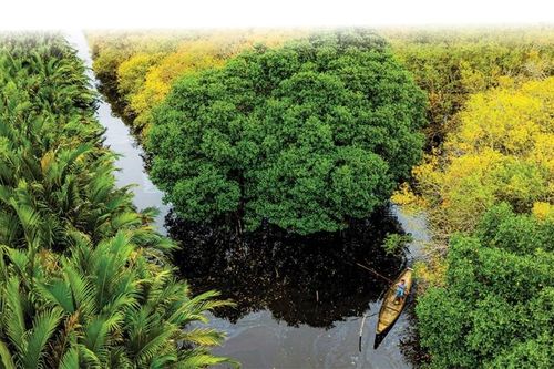 Huế phát triển du lịch xanh