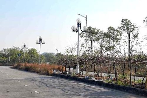 Hà Nội yêu cầu mạnh tay thu hồi đất bỏ hoang, dự án treo